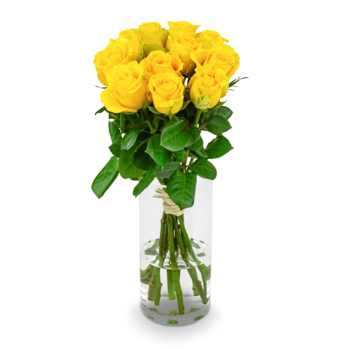 Bouquet of yellow roses